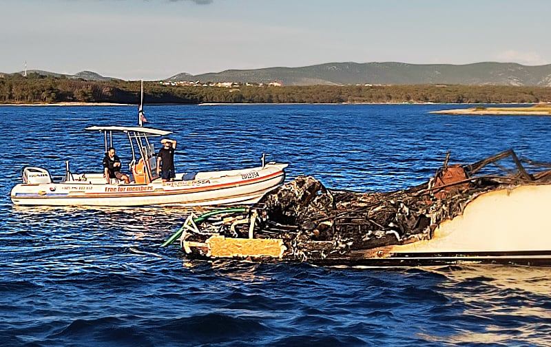 Sanacija, odsukanje, tegalj, inspekcija i uništavanje podrtine u 5 dana